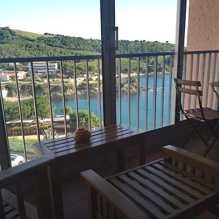 Grand Studio Avec Vue Sur La Mer Et Parking بانيول سور مير المظهر الخارجي الصورة
