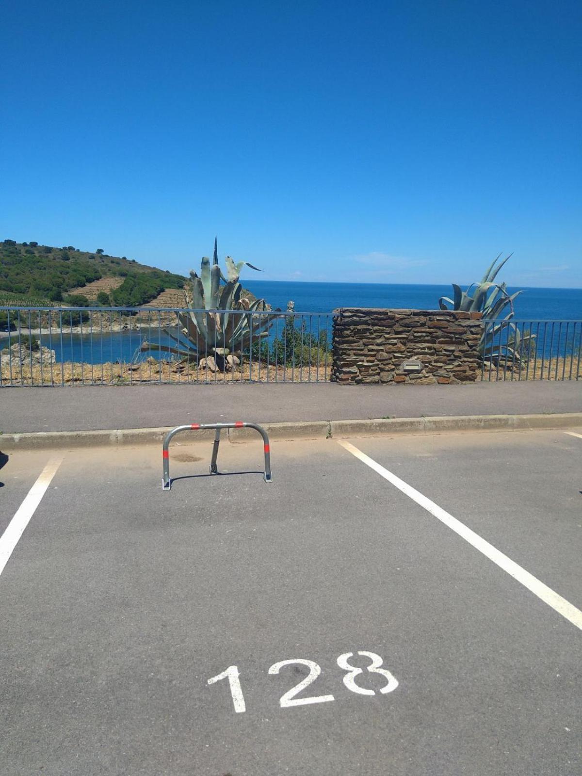 Grand Studio Avec Vue Sur La Mer Et Parking بانيول سور مير المظهر الخارجي الصورة